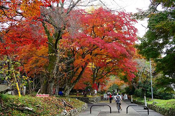 16京都紅葉之旅 Kakajaw的廚房與京都 痞客邦