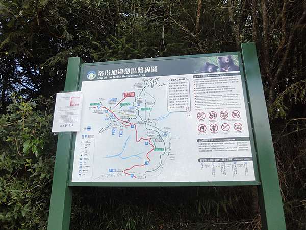 新中橫 遊記 挑戰新中橫公路 東埔 玉山國家公園 夫妻樹 塔塔加遊客中心 嘉義阿里山 日本自助旅行大補帖 凱子凱