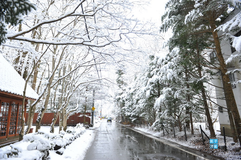 輕井澤 必去景點推薦 雲場池 愛上輕井澤之美 雪白的雲場池美得太過分了 超夢幻 也是輕井澤賞楓必訪之地