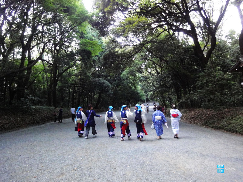 東京 原宿 必訪景點推薦 明治神宮 交通 遊記 日本自助旅行大補帖 凱子凱 痞客邦