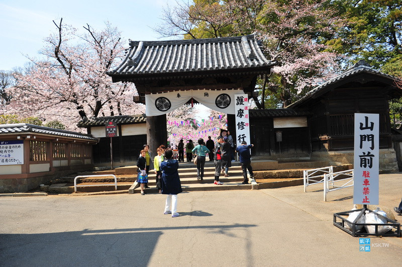 川越 賞櫻景點推薦 喜多院 來川越賞櫻一定要來這 院內滿滿粉嫩的櫻花超級美啦 日本自助旅行大補帖 凱子凱 川越 賞櫻景點推薦 喜多院 來川越賞櫻一定要來這 院內滿滿粉嫩的櫻花超級美啦 日本自助旅行大補帖 凱子凱