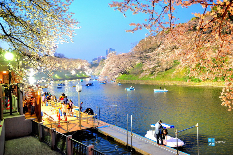 東京 必去五星級賞櫻景點 千鳥淵 千鳥ヶ淵綠道 櫻花季節必來護城河上划船 夜櫻也很推薦 交通方式介紹 超人氣賞櫻名所 日本自助旅行大補帖 凱子凱