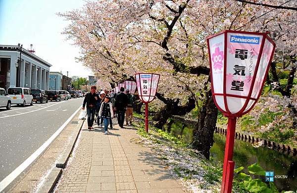 東北賞櫻 弘前公園 弘前城 的 花筏 此生絕對要去看一次的世界絕景 粉紅色護城河實在太美了 花筏攝影地點 花筏預測整理 花筏拍攝攻略