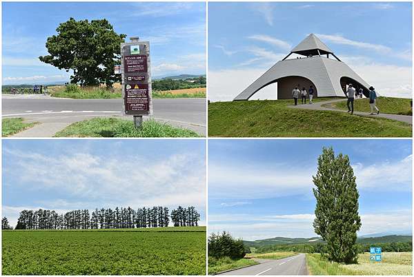 北海道 美瑛 拼布之路 景點全攻略 自駕路線參考 七星之樹 親子之樹 柔和七之丘 北西之丘 Ken Mary之樹 Zerubu之丘 美瑛之丘實在太美啦 日本自助旅行大補帖 凱子凱 北海道 美瑛 拼布之路 景點全攻略 自駕路線參考 七星之樹 親子之樹 柔和七之丘 北西之丘 Ken Mary之樹 Zerubu之丘 美瑛之丘實在太美啦 日本自助旅行大補帖 凱子凱