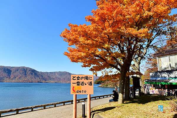 十和田湖 賞楓 休屋 乙女の像 十和田神社 紅葉美得太誇張啦 交通 行程規劃 紅葉見頃日期探討 賞楓遊記分享 日本自助旅行大補帖 凱子凱