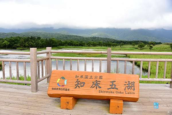 北海道 知床 知床五湖 導覽 遊記 預約手續 分為 棕熊活動期 與 植物保護期 到底會不會遇到棕熊之旅 日本自助旅行大補帖 凱子凱