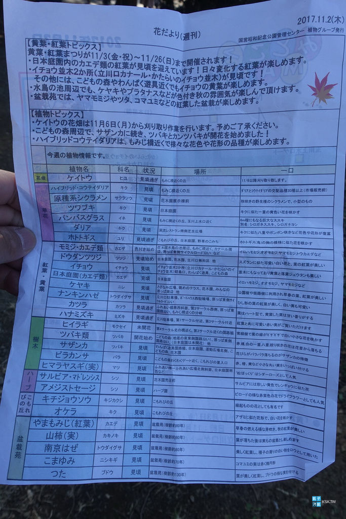 東京 銀杏名所 國營昭和紀念公園 來東京超人氣必訪賞銀杏景點推薦 銀杏大道超美 親子遊推薦必訪 來野餐也相當適合 交通 賞銀杏 租借腳踏車遊園 見頃時間 日本自助旅行大補帖 凱子凱