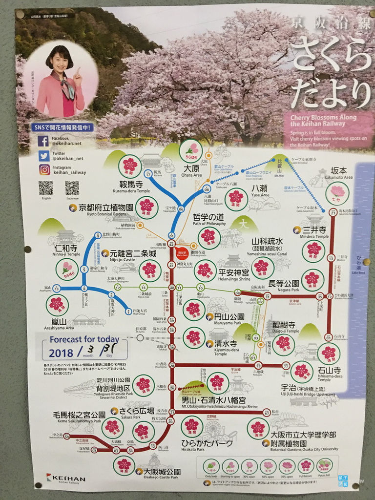 京都重要交通票券京阪電車京都觀光一日券京都大阪觀光一 京都重要交通票券京阪電車京都觀光一日券京都大阪觀光一