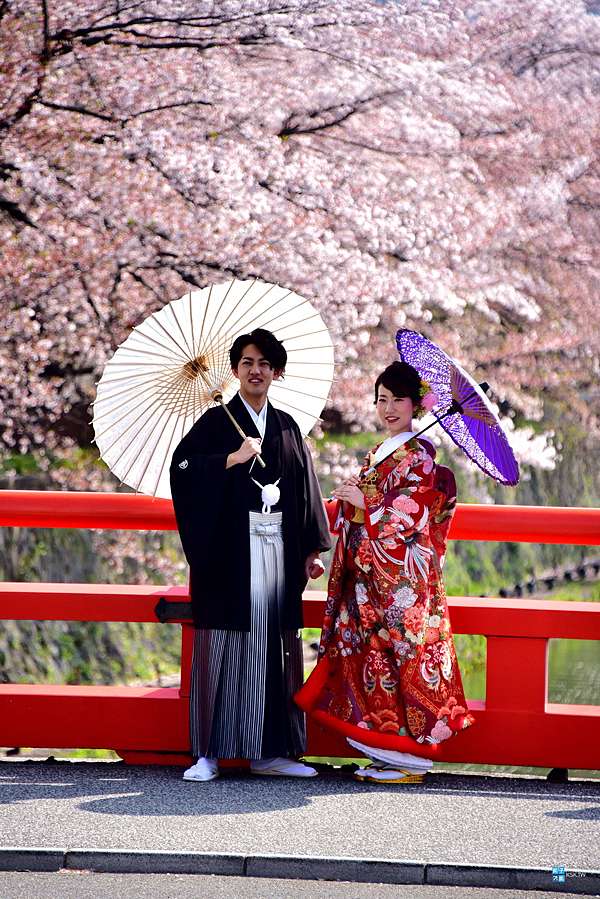 京都 景點 平安神宮 日本傳統婚禮神前式受歡迎的神社 神苑值得參觀 京都賞櫻人氣景點推薦 日本自助旅行大補帖 凱子凱 痞客邦 京都 景點 平安神宮 日本傳統婚禮神前式受歡迎的神社 神苑值得參觀 京都賞櫻人氣景點推薦 日本自助旅行大補帖 凱子凱 痞客邦