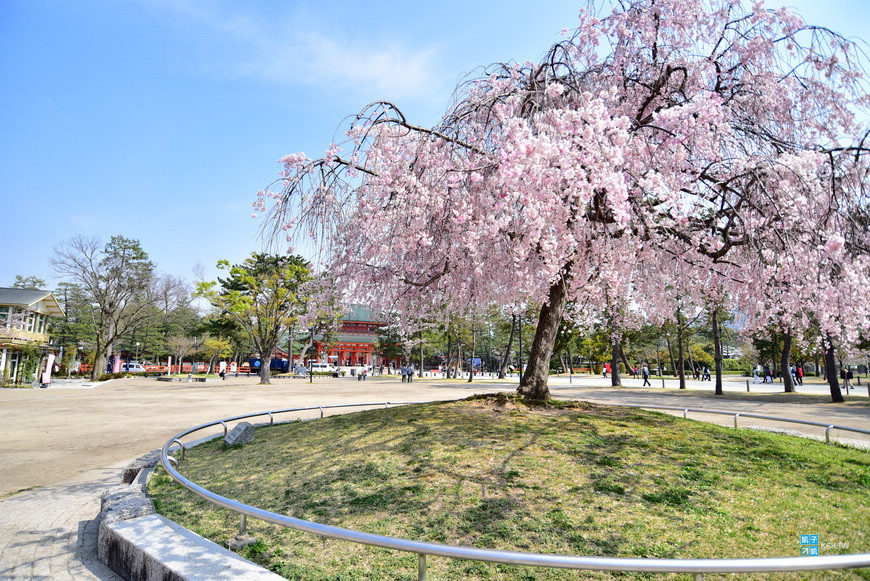 京都 景點 平安神宮 日本傳統婚禮神前式受歡迎的神社 神苑值得參觀 京都賞櫻人氣景點推薦 日本自助旅行大補帖 凱子凱 痞客邦 京都 景點 平安神宮 日本傳統婚禮神前式受歡迎的神社 神苑值得參觀 京都賞櫻人氣景點推薦 日本自助旅行大補帖 凱子凱 痞客邦