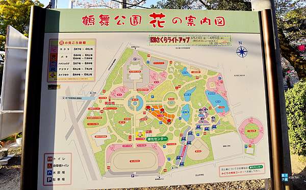 名古屋 櫻花百選名所 鶴舞公園 賞櫻重點在 櫻林 夜間點燈特別漂亮 地下鐵 鶴舞駅 4號出口即抵達 日本自助旅行大補帖 凱子凱