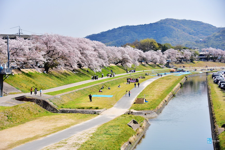 日本岡山 賞櫻景點 旭川さくらみち 後樂園旁邊的 旭川河川敷 日本自助旅行大補帖 凱子凱 痞客邦 日本岡山 賞櫻景點 旭川さくらみち 後樂園旁邊的 旭川河川敷 日本自助旅行大補帖 凱子凱 痞客邦