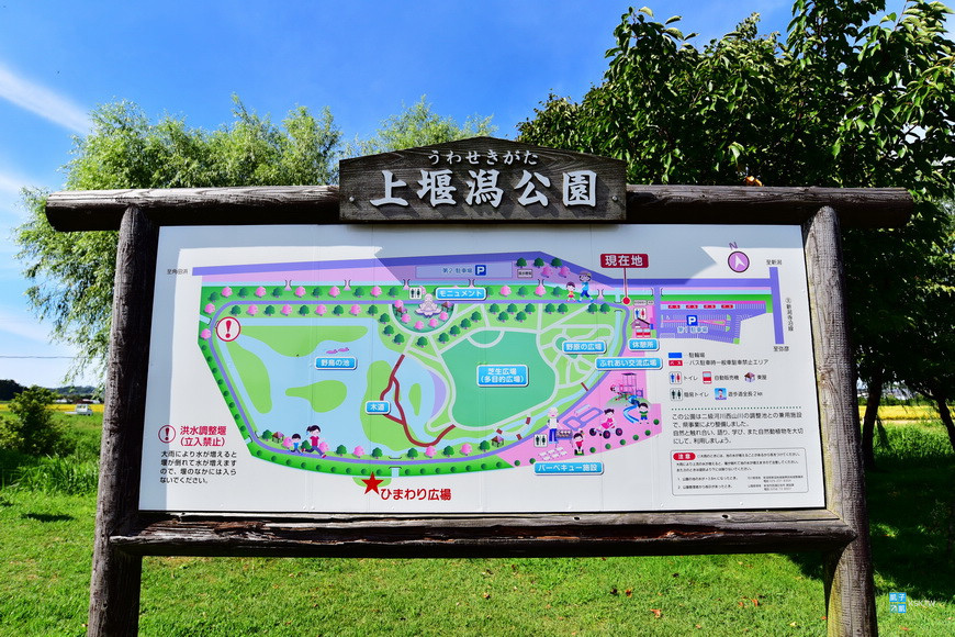 新潟景點懶人包 新潟市景點 美食 住宿推薦 新潟仙貝王國 上堰潟公園 新潟ふるさと村 新潟市水族館marinepia日本海 萬代橋 新潟五大拉麵 新潟醬汁豬排 特色觀光列車 新潟景點懶人包 新潟市景點 美食 住宿推薦 新潟仙貝王國 上堰潟公園 新潟ふるさと村 新潟市水族館marinepia日本海 萬代橋 新潟五大拉麵 新潟醬汁豬排 特色觀光列車