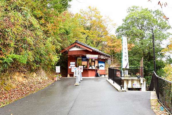 兵庫 朝來市 竹田城跡 天空之城 前往竹田的交通 搭著天空巴士輕鬆前往竹田城 要看雲海是在對面 立雲峽 喔 日本一百名城 日本自助旅行大補帖 凱子凱