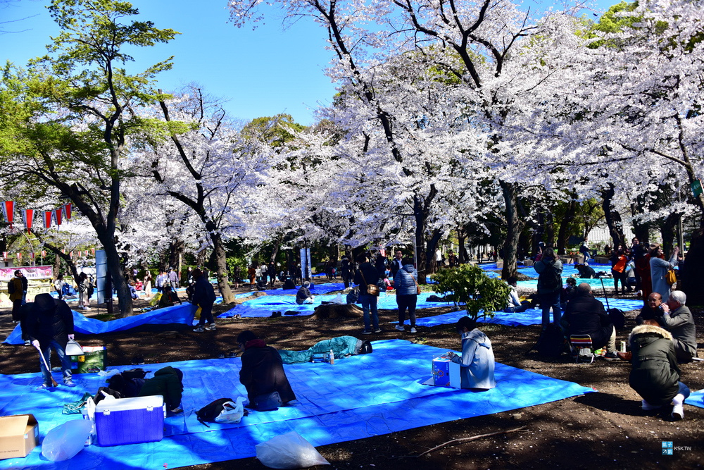 東京 賞櫻景點 上野公園 不忍池賞櫻 さくら通り 櫻並木道 日本自助旅行大補帖 凱子凱 痞客邦 東京 賞櫻景點 上野公園 不忍池賞櫻 さくら通り 櫻並木道 日本自助旅行大補帖 凱子凱 痞客邦