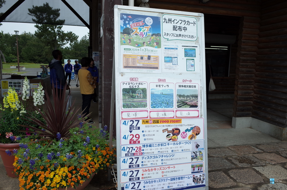 九州 福岡景點 海之中道海濱公園 四月下旬欣賞粉蝶花海之美 親子公園 來園內騎腳踏車 夏天可戲水 交通 海ノ中道駅 日本自助旅行大補帖 凱子凱