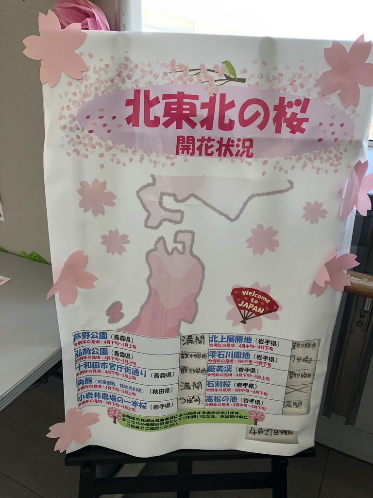 青森 賞櫻推薦景點 十和田市現代美術館 十和田官廳街通 駒街道 十和田市的櫻花超美 可上去 十和田市役所 觀景台欣賞全景 日本自助旅行大補帖 凱子凱 青森 賞櫻推薦景點 十和田市現代美術館 十和田官廳街通 駒街道 十和田市的櫻花超美 可上去 十和田市役所 觀景台欣賞全景 日本自助旅行大補帖 凱子凱