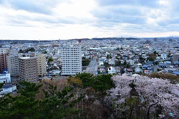 秋田 景點 千秋公園 久保田城御隅櫓 櫻花百選名所 久保田城跡 日本100名城 夜櫻 交通 秋田站步行15分 日本自助旅行大補帖 凱子凱 秋田 景點 千秋公園 久保田城御隅櫓 櫻花百選名所 久保田城跡 日本100名城 夜櫻 交通 秋田站步行15分 日本自助旅行大補帖 凱子凱