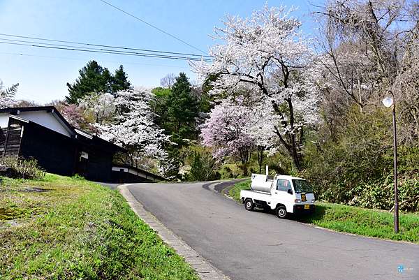 秋田 角館 古城山公園 從高處眺望 檜木內川堤 櫻花的秘境賞櫻點 交通介紹 日本自助旅行大補帖 凱子凱 痞客邦 秋田 角館 古城山公園 從高處眺望 檜木內川堤 櫻花的秘境賞櫻點 交通介紹 日本自助旅行大補帖 凱子凱 痞客邦
