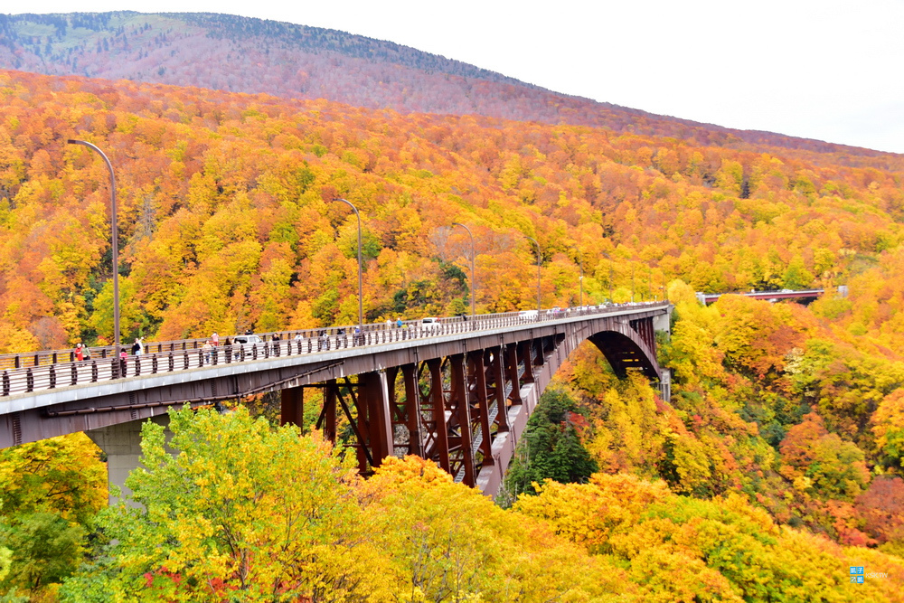 青森 賞楓景點 城ヶ倉大橋 城倉大橋 滿山滿谷超震撼的紅葉大景 八甲田山賞楓必訪 交通 Mapcode 鄰近景點介紹 日本自助旅行大補帖 凱子凱 青森 賞楓景點 城ヶ倉大橋 城倉大橋 滿山滿谷超震撼的紅葉大景 八甲田山賞楓必訪 交通 Mapcode 鄰近景點介紹 日本自助旅行大補帖 凱子凱