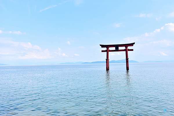 滋賀 景點推薦 琵琶湖的水上鳥居 白鬚神社 熱門夢幻拍攝景點 從 近江高島 站前往的交通方式 計程車資訊 近江taxi 從京都前往 日本自助旅行大補帖 凱子凱