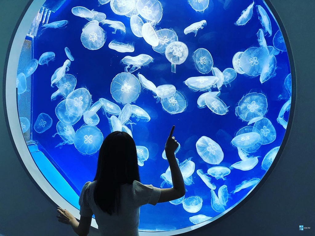 桃園青埔 Xpark 都會型水生公園門票 由日本橫濱八景島首度跨海來台桃園開設分館 水族館 Kkday與klook購票方案 接駁方案 桃園青埔 Xpark 都會型水生公園門票 由日本橫濱八景島首度跨海來台桃園開設分館 水族館 Kkday與klook購票方案 接駁方案