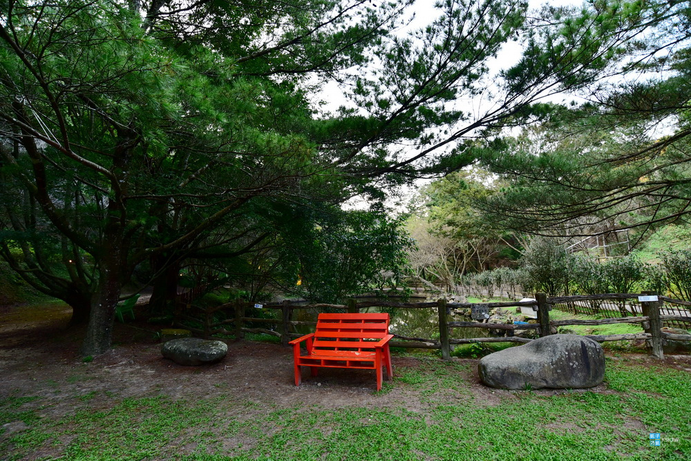 DSC_6592.jpg