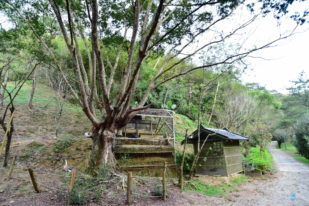 DSC_6586.jpg