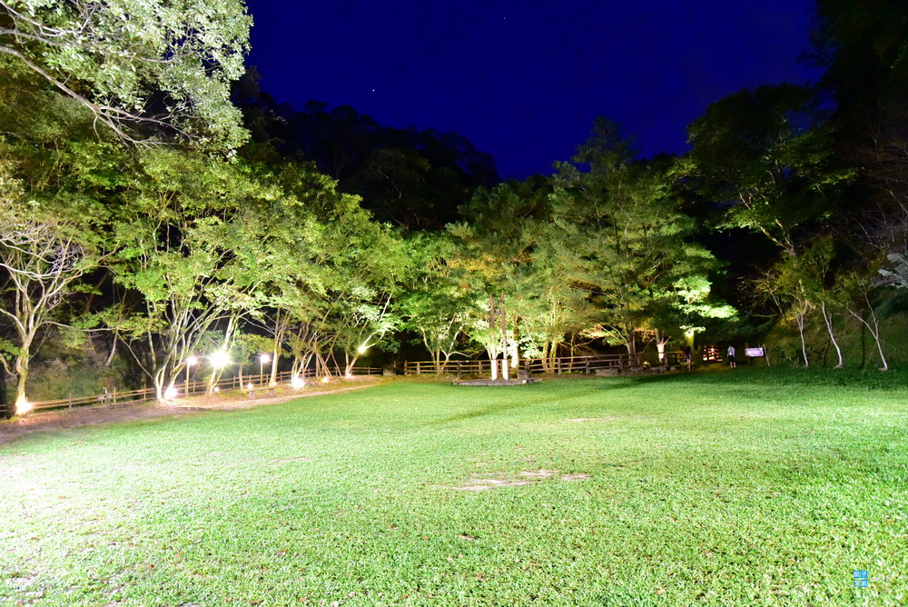 DSC_6676.jpg