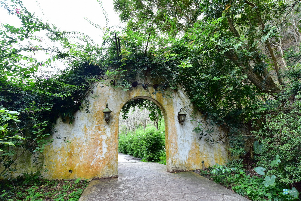 DSC_6469.jpg