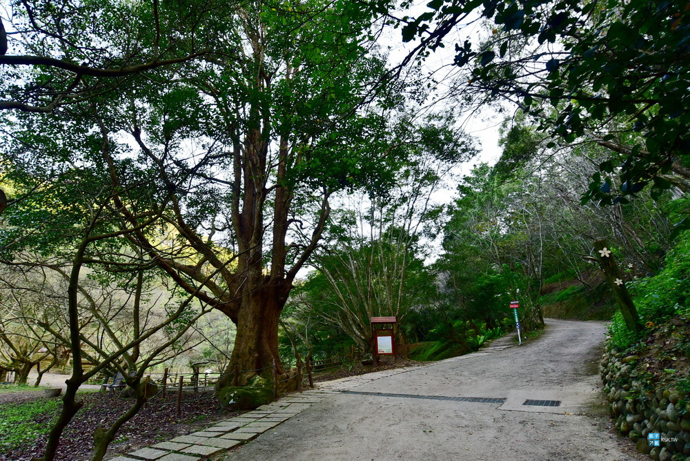 DSC_6491.jpg