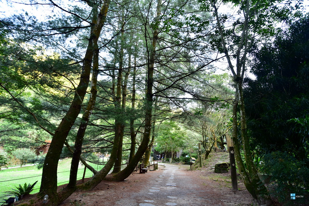 DSC_6503.jpg
