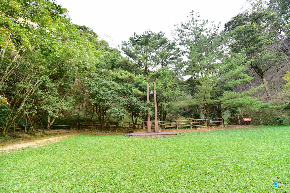 DSC_6536.jpg