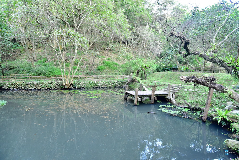 DSC_6551.jpg