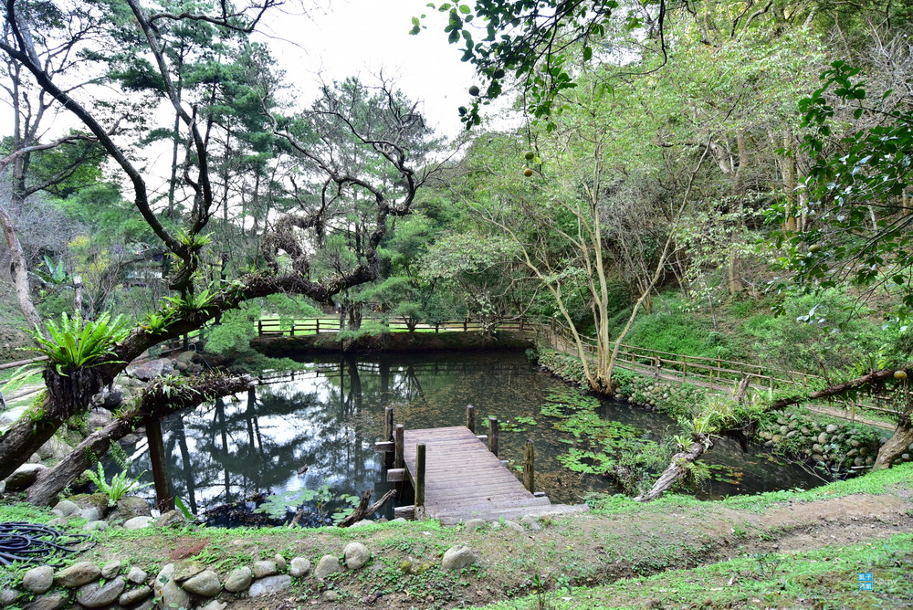 DSC_6552.jpg