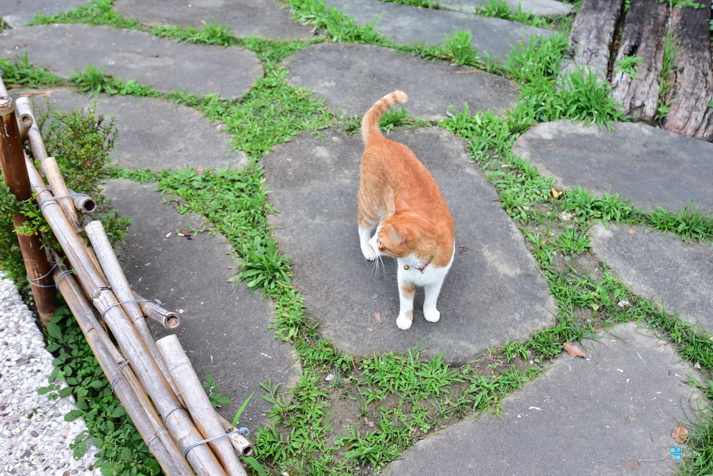 DSC_6581.jpg
