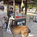 20120204奈良信貴山法龍寺錦光園玉造居酒屋聚餐(204).jpg