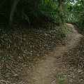 竹林間的步道