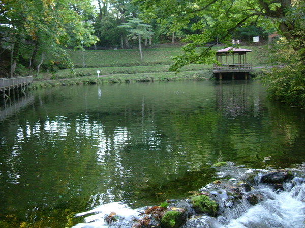 平靜的池水