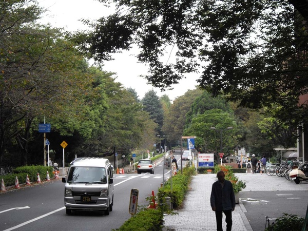 東大校園一隅