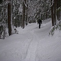 雪  非常難走