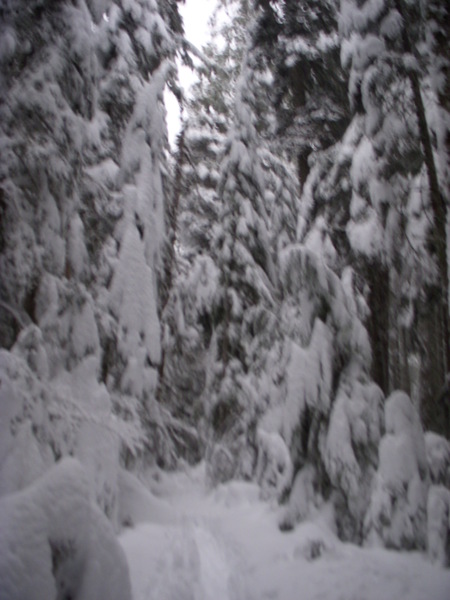 山中小路