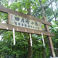 200805_苗栗油桐花季-DSC00317.JPG