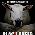 blacksheep.jpg