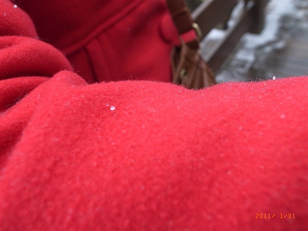 真的是小雪..好小一顆