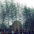 R0013042.JPG