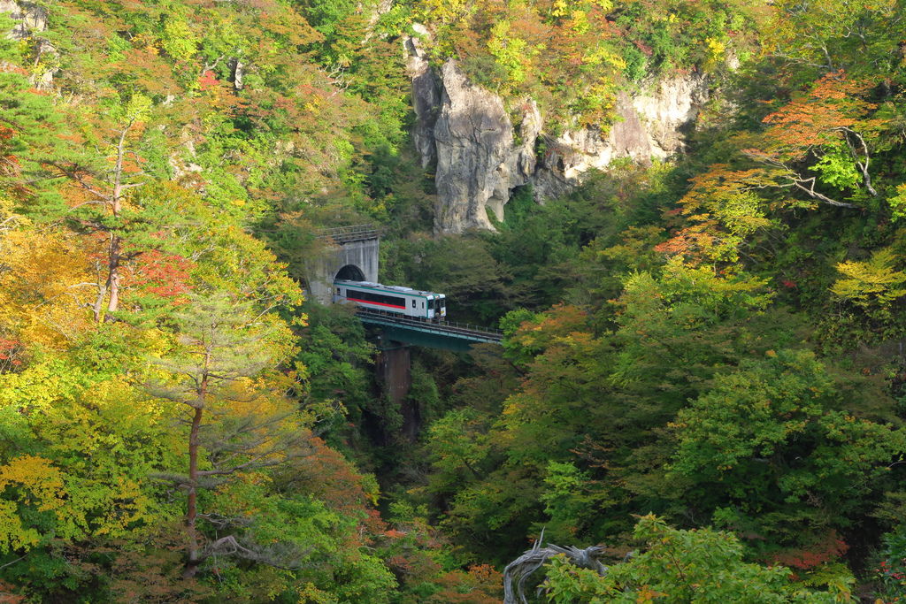 日本宮城--鳴子峽賞楓