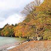 日本宮城--鳴子峽賞楓