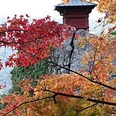 日本宮城--鳴子峽賞楓