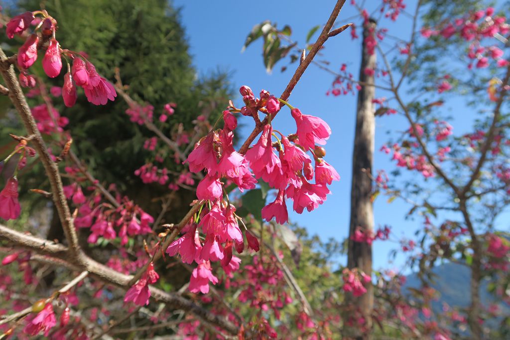 IMG_2070.jpg IMG_2070.jpg